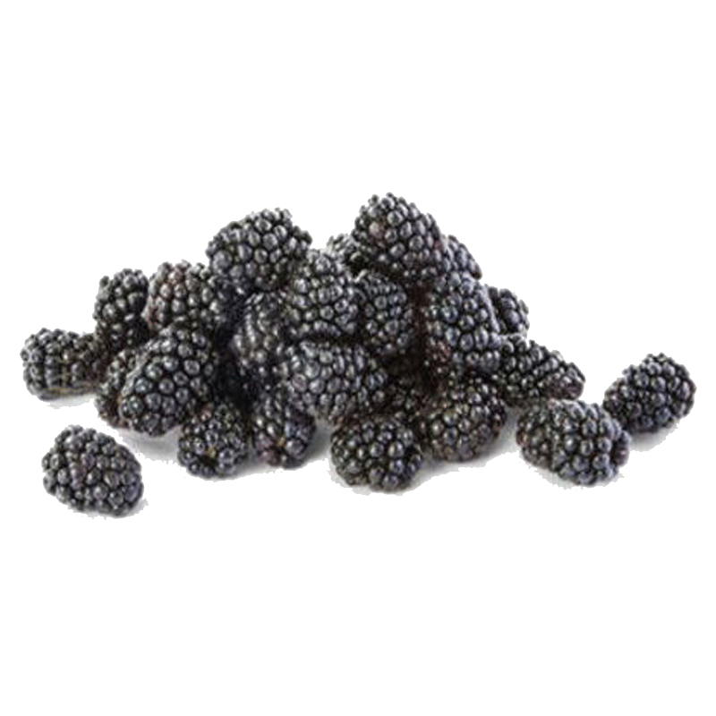 Picture of Nature Ripe Organic BlackBerry - 6oz
