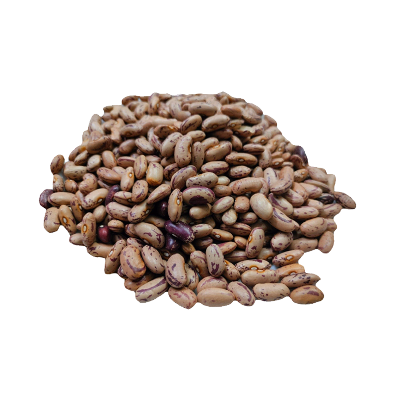 Picture of Mayuri Pinto Beans - 2lb