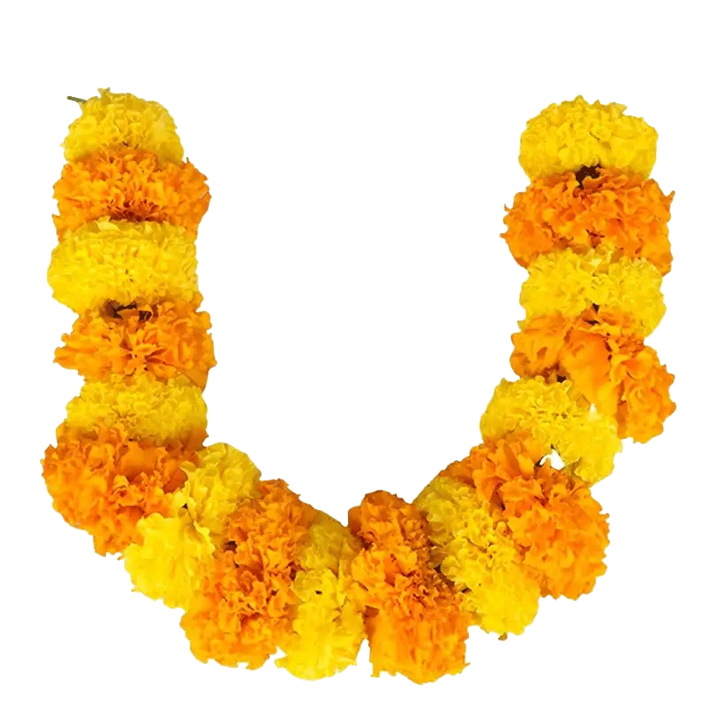 Picture of Fresh Marigold String - 1ft