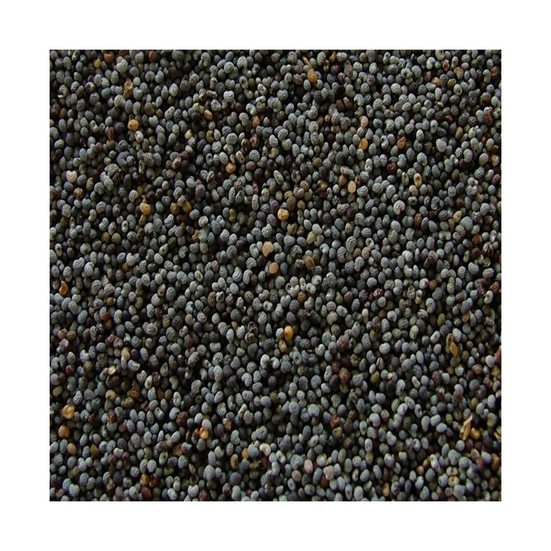 Picture of Poppy Seeds Black - 100g