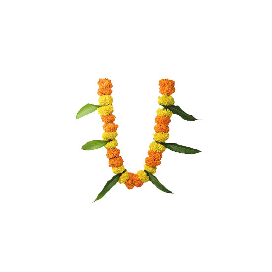 Picture of Garland Fresh Diwali SPL Indian - 1pc