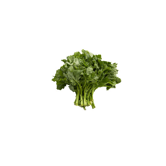 Picture of Fresh Rapini Leaves - EA