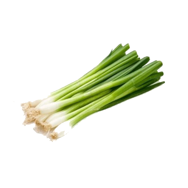 Picture of Onion Green Spring Big Cambray - EA
