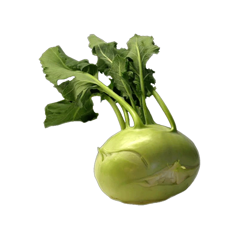 Picture of Organic Kohlrabi - EA