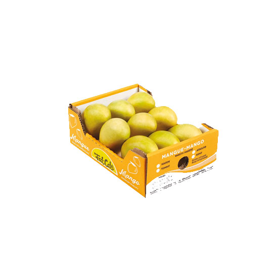 Picture of Indian Mango Himayat - EA