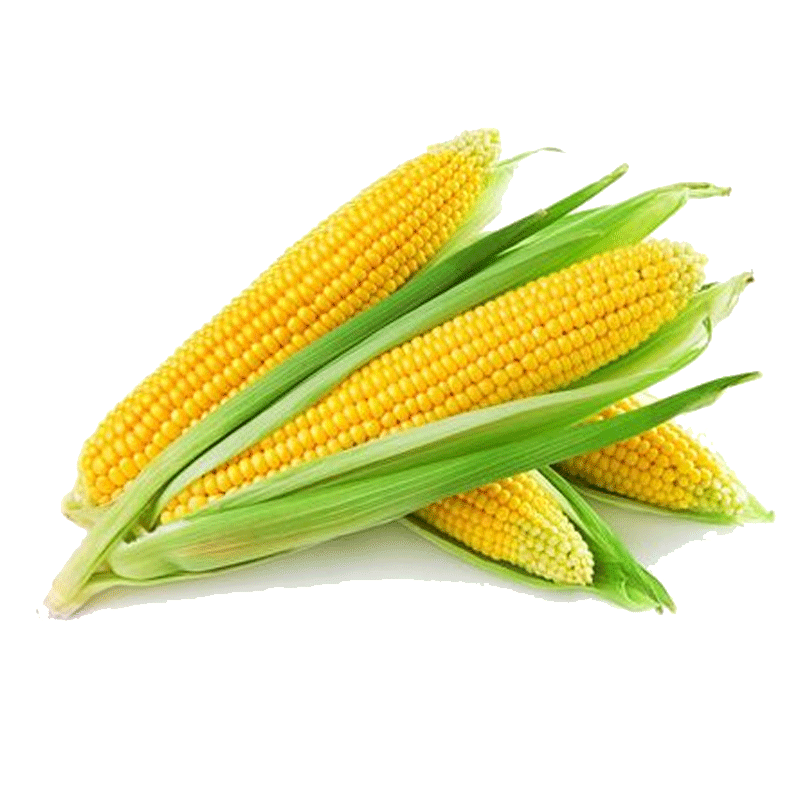 Picture of Corn Fresh - EA