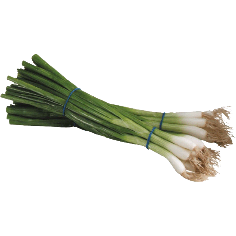 Picture of Organic Onion Green - EA