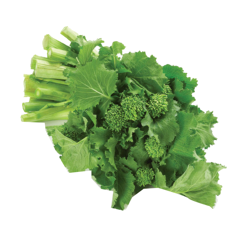Picture of Fresh Rapini - EA