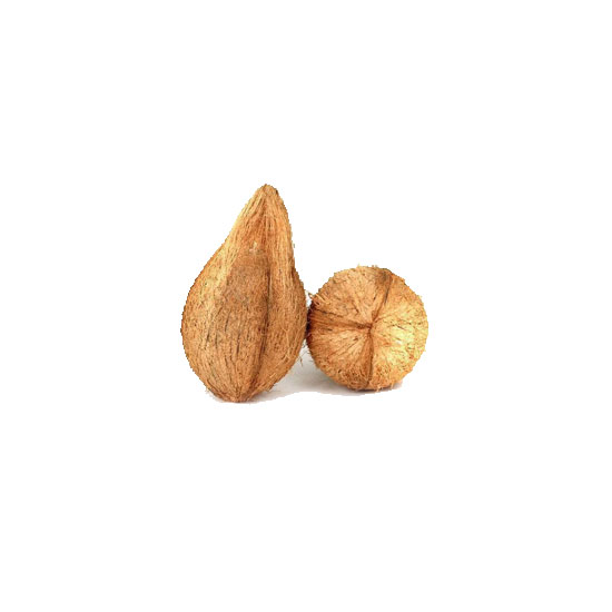 Picture of Coconut Whole Pooja Purpose-EA