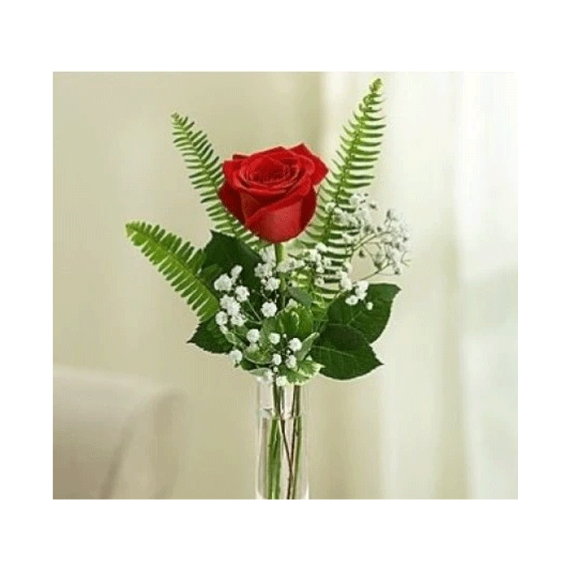Picture of Fresh Pretty Bud Rose Vase - Ea