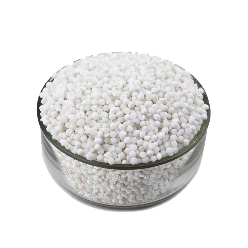 Picture of Hathi Sabudana - 14oz