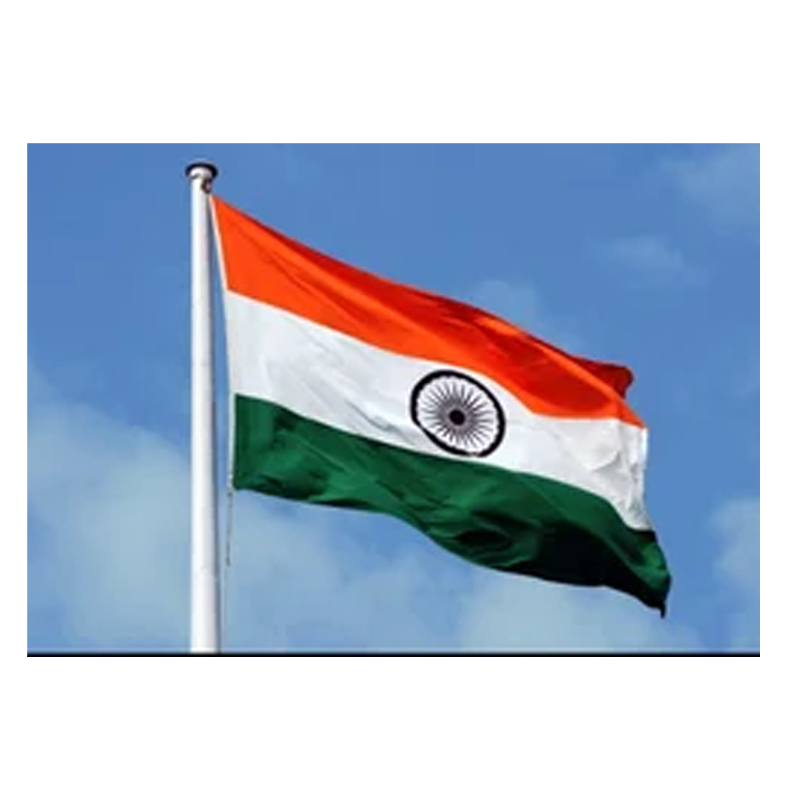 Picture of Indian Flag Big