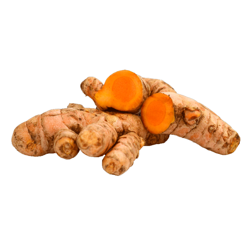 Picture of Organic Fresh Turmeric - 4oz