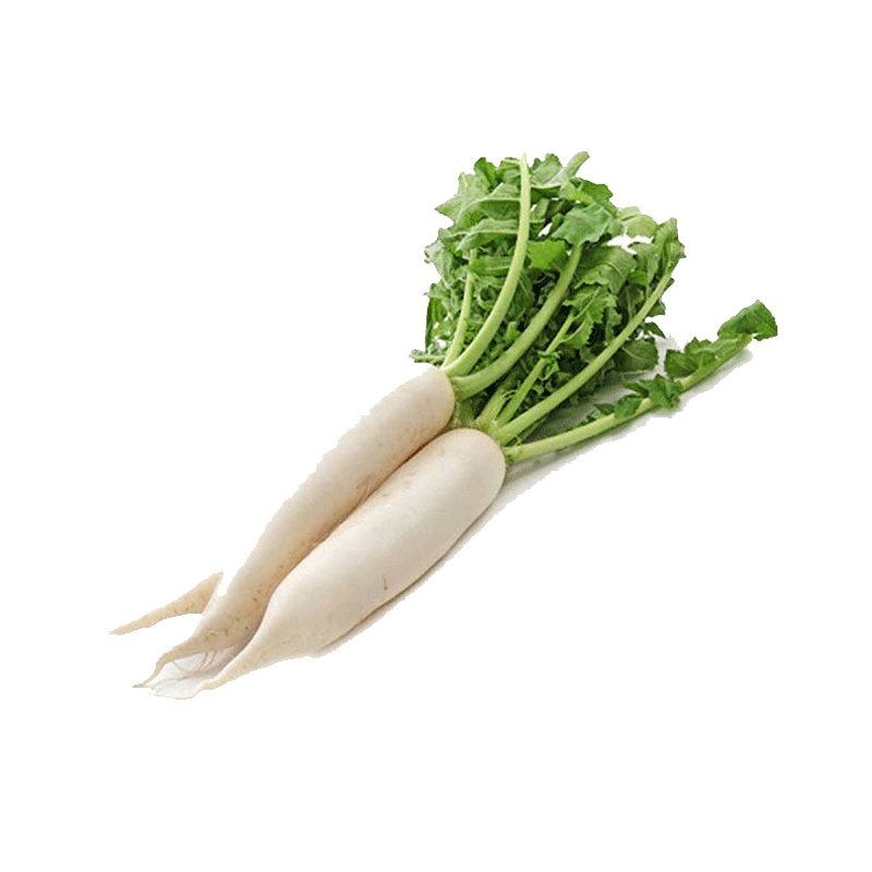 Picture of Daikon - lb