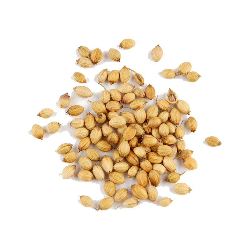 Picture of Coriander Whole - 4lb