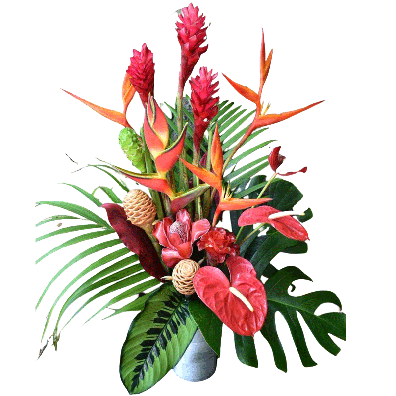 Picture of Fresh Arrangement Tropical Flowers - Ea