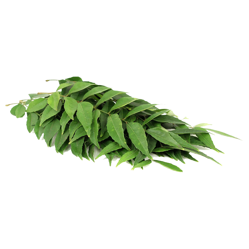 Picture of Curry Leaves - lb