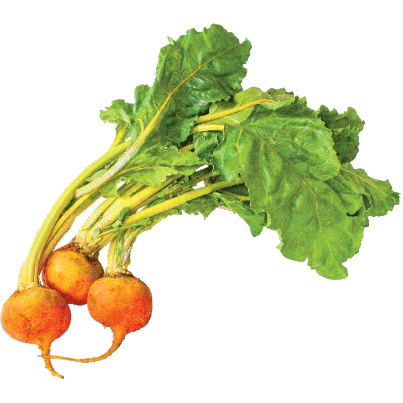 Picture of Organic Beets Gold Bunch - EA
