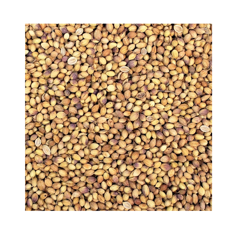 Picture of Mayuri Coriander Whole - 7oz