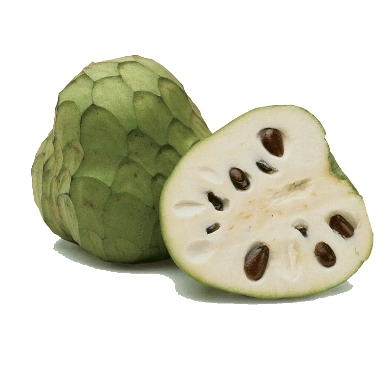 Picture of Cherimoya - lb