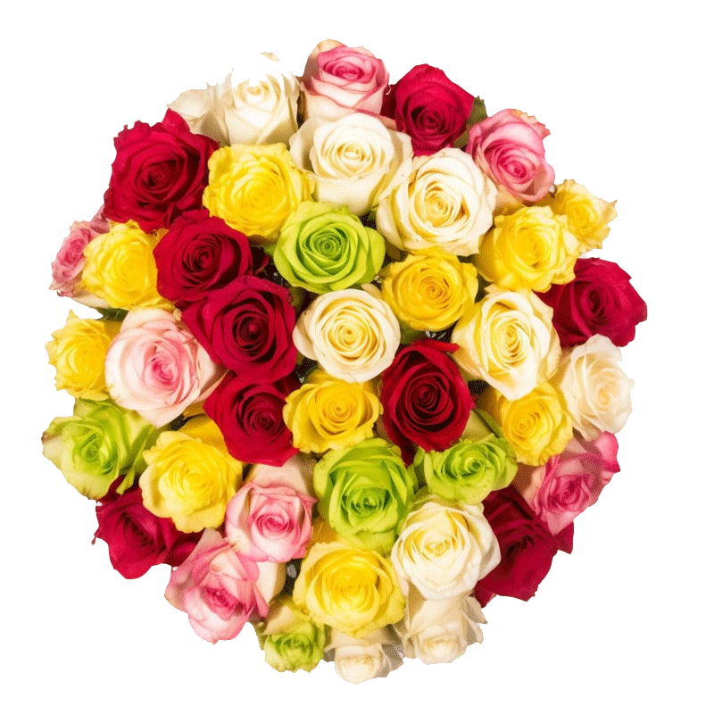 Picture of Fresh Indian Mix Button Rose Flowers - 100g