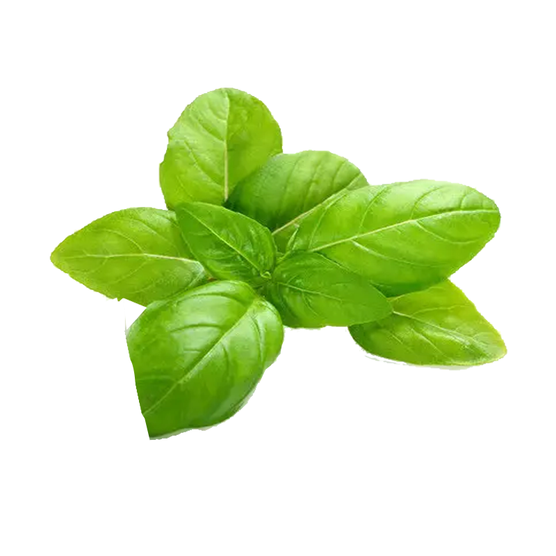 Picture of Basil Leaves Fresh - EA