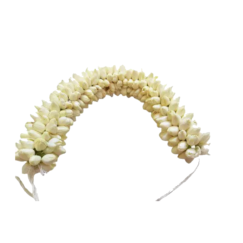 Picture of Fresh Jasmine Veni - Ea