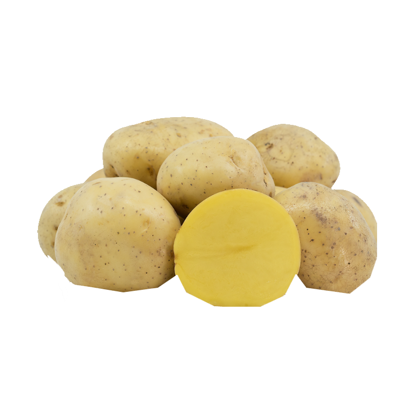 Picture of Potato Yellow Yukon - 5lb