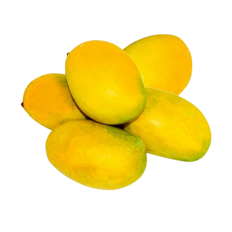 Picture of Indian Mango Mallika - EA