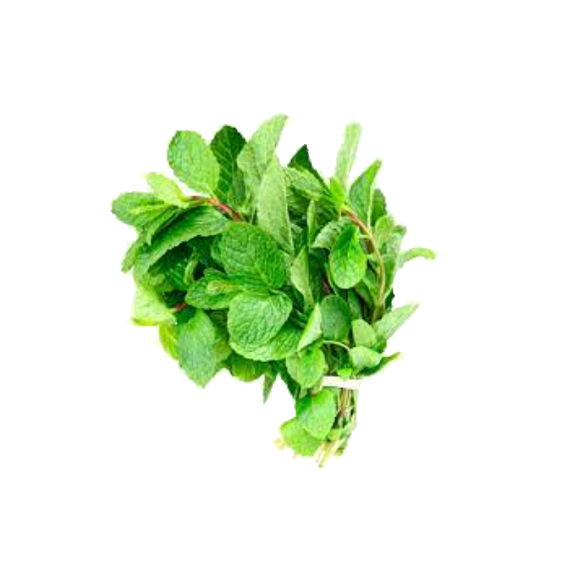 Picture of Mint Bunch - EA