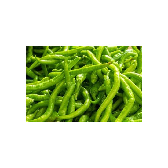 Picture of Chilli Long Hot-LB