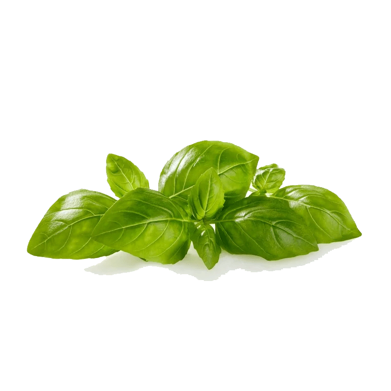 Picture of Organic Basil Leaves - EA