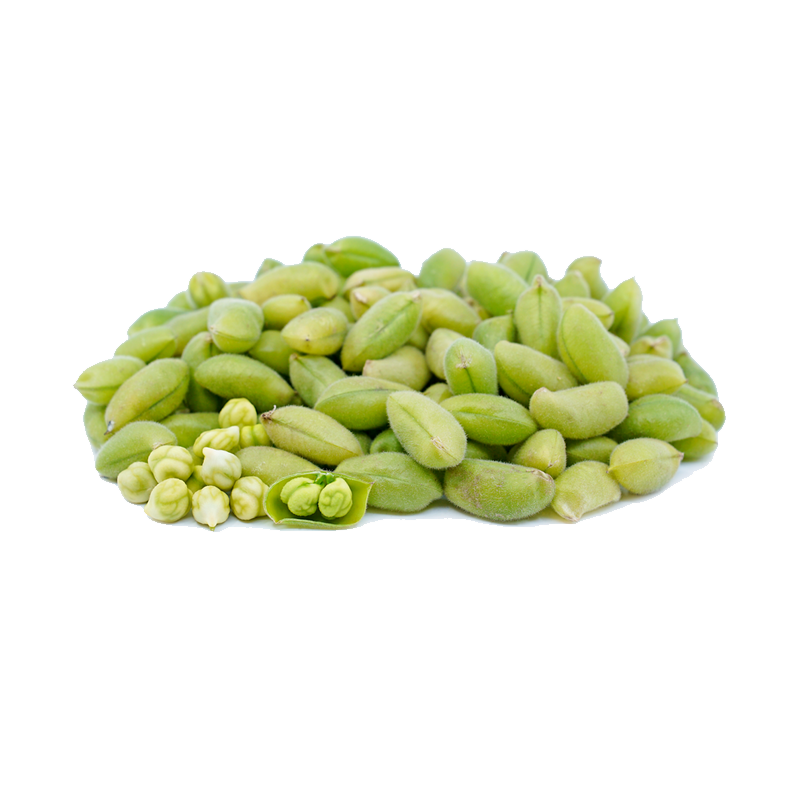 Picture of Garbanzo Beans - lb