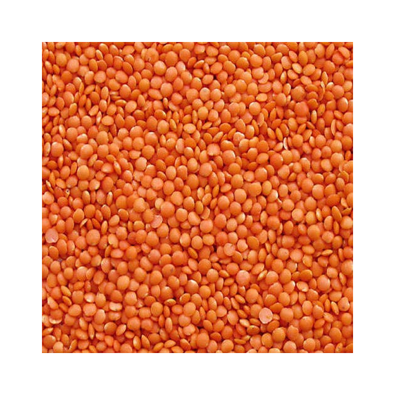 Picture of Mayuri Masoor Dal Red - 4lb