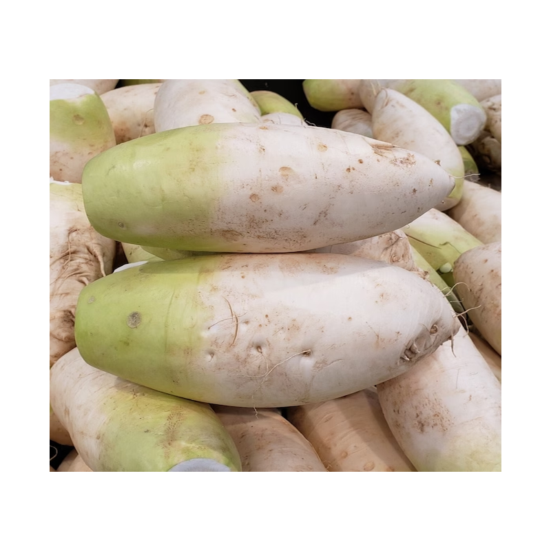 Picture of Korean Daikon - lb