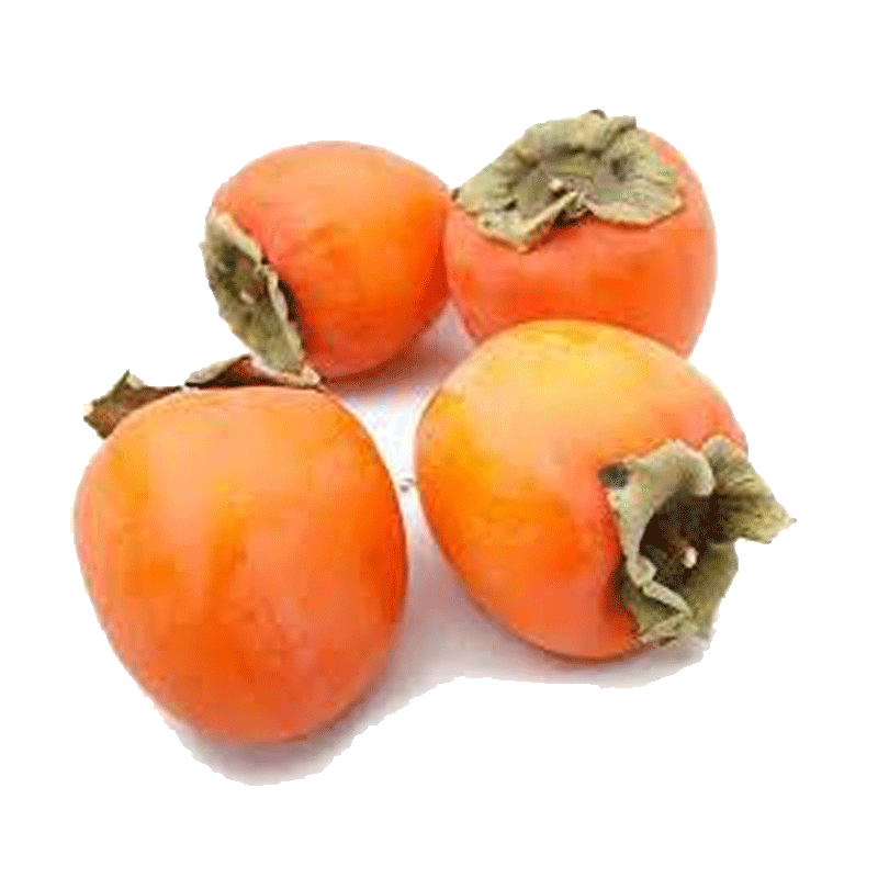 Picture of Organic Persimmon Hachiya - lb