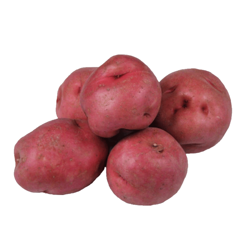 Picture of Organic Potato Red - lb