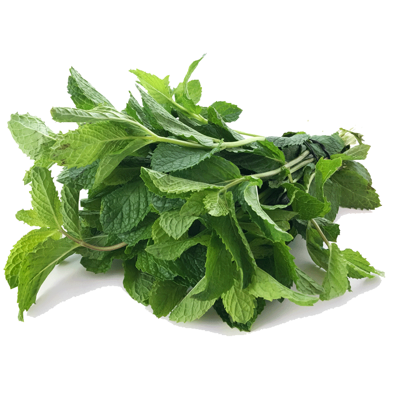 Picture of Organic Mint - EA