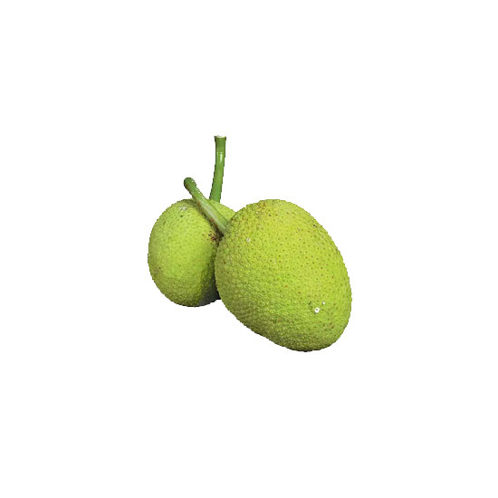 Picture of Bread Fruit Fresh - lb