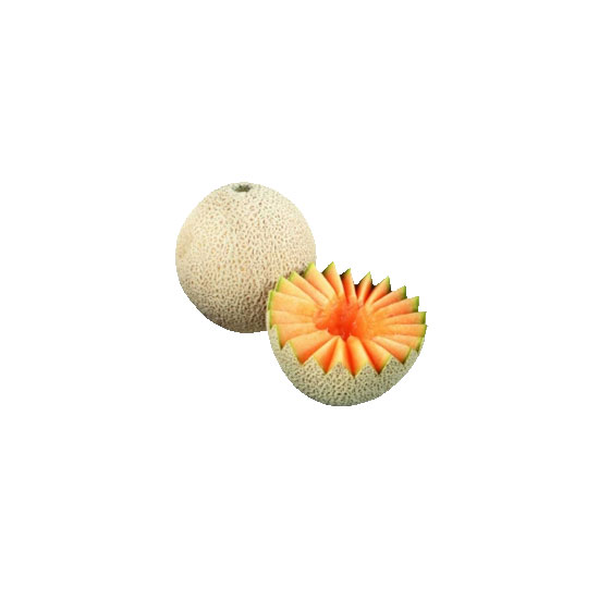 Picture of Cantaloupe FRESH WHOLE-ea