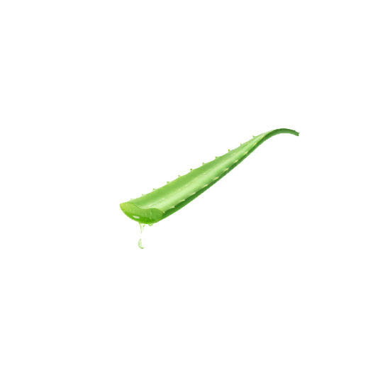 Picture of Aloe Vera-EA