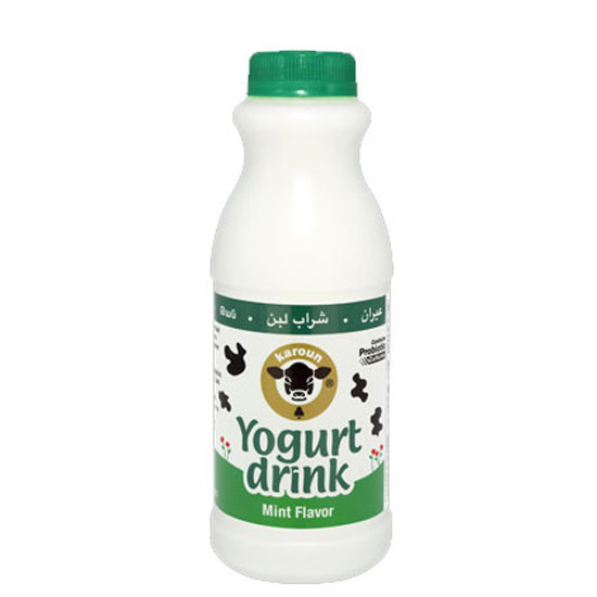 Picture of Karoun Yogurt Drink Mint - 473ml