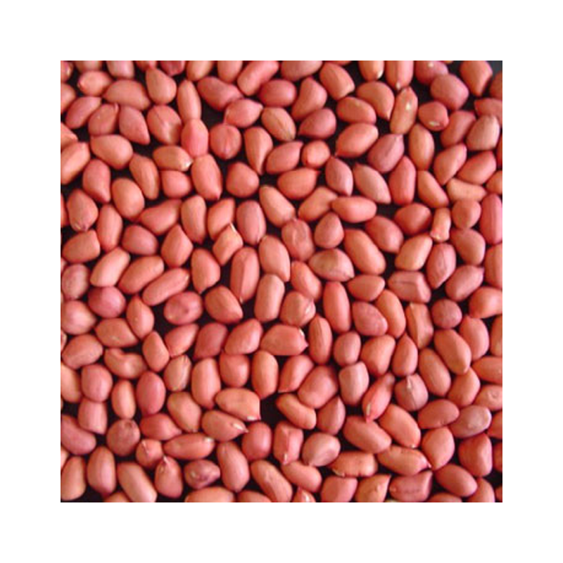 Picture of Mayuri Peanut Red Skin - 4lb