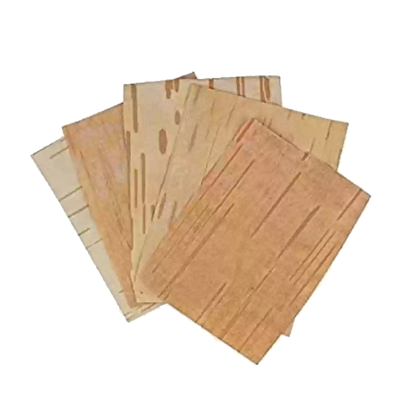 Picture of Bhoj Pathra Patra Large Plate- 5pc